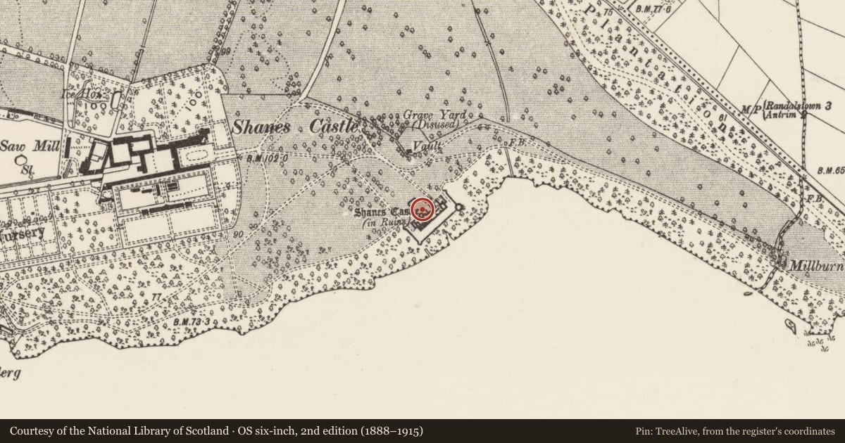 Ordnance Survey six-inch map, 2nd edition (1888–1915) covering the location of Shane's Castle ruins, Shane's Castle Park, Antrim and Newtownabbey, with a pin at the register's coordinates