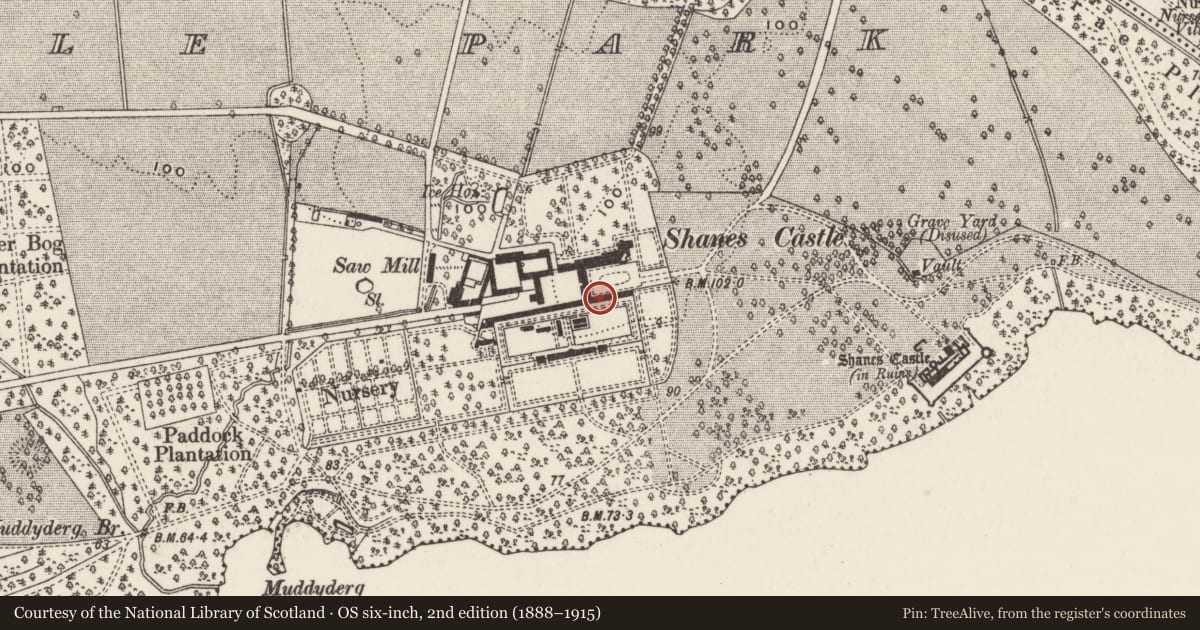Ordnance Survey six-inch map, 2nd edition (1888–1915) covering the location of Shane's Castle (Mansion), Shane's Castle Park, Antrim and Newtownabbey, with a pin at the register's coordinates