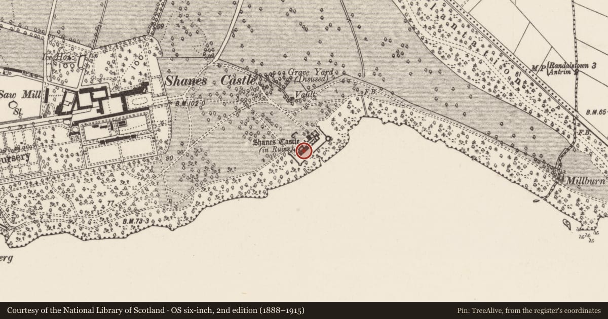 Ordnance Survey six-inch map, 2nd edition (1888–1915) covering the location of Terrace, Shane's Castle Park, Antrim and Newtownabbey, with a pin at the register's coordinates