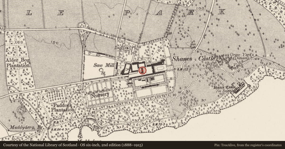 Ordnance Survey six-inch map, 2nd edition (1888–1915) covering the location of Shane'S Castle Outbuildings, Antrim and Newtownabbey, with a pin at the register's coordinates