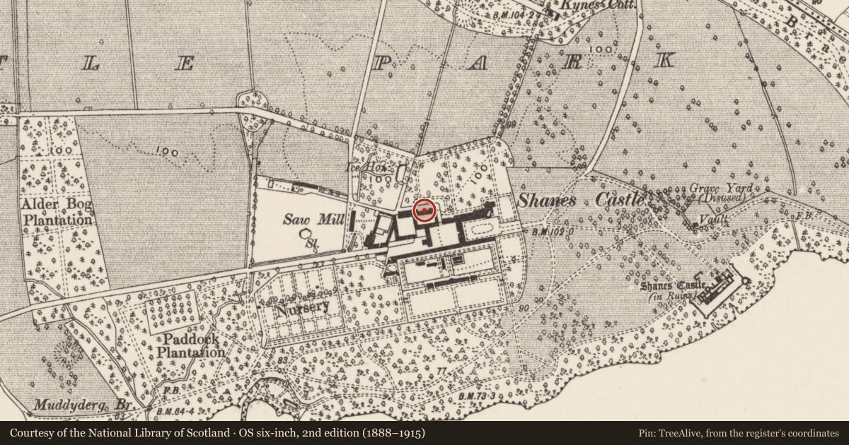 Ordnance Survey six-inch map, 2nd edition (1888–1915) covering the location of Shane'S Castle Outbuildings, Antrim and Newtownabbey, with a pin at the register's coordinates