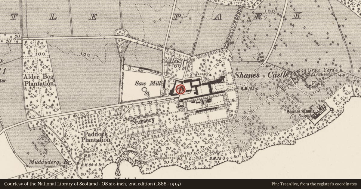 Ordnance Survey six-inch map, 2nd edition (1888–1915) covering the location of Shane's Castle Outbuildings, Shane's Castle Park, Antrim and Newtownabbey, with a pin at the register's coordinates