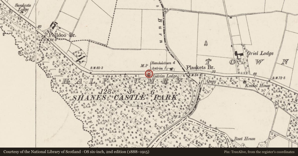 Ordnance Survey six-inch map, 2nd edition (1888–1915) covering the location of Antrim Gate Lodge, Half Umry, Antrim and Newtownabbey, with a pin at the register's coordinates