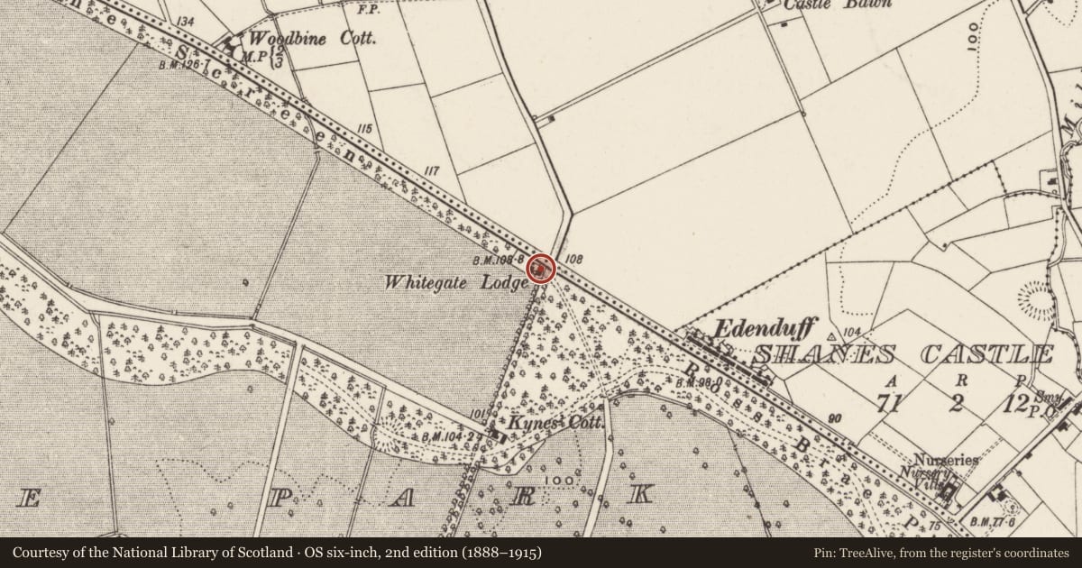 Ordnance Survey six-inch map, 2nd edition (1888–1915) covering the location of Whitegate Lodge, Shane's Castle Park, Antrim and Newtownabbey, with a pin at the register's coordinates