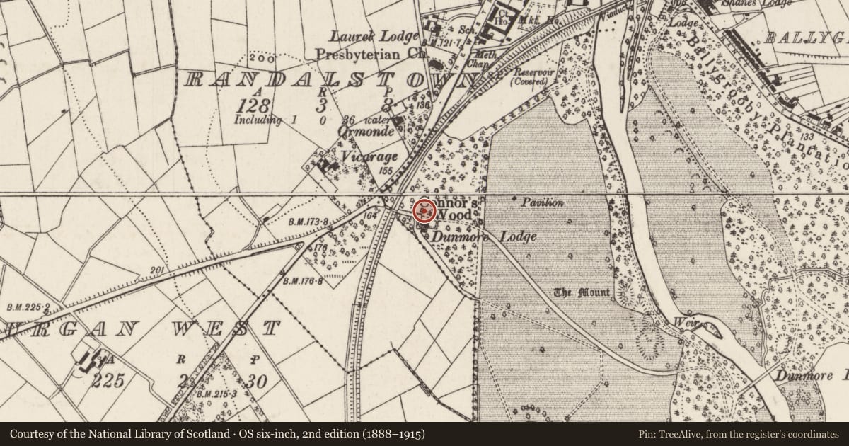 Ordnance Survey six-inch map, 2nd edition (1888–1915) covering the location of Gates and gate screen at Dunmore Lodge, Shane's Castle Park, Antrim and Newtownabbey, with a pin at the register's coordinates