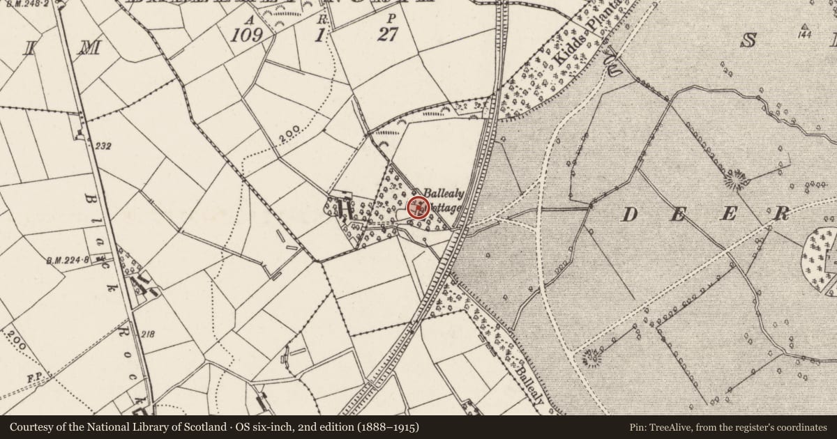 Ordnance Survey six-inch map, 2nd edition (1888–1915) covering the location of Ballealy Cottage, Shane's Castle Park, Antrim and Newtownabbey, with a pin at the register's coordinates