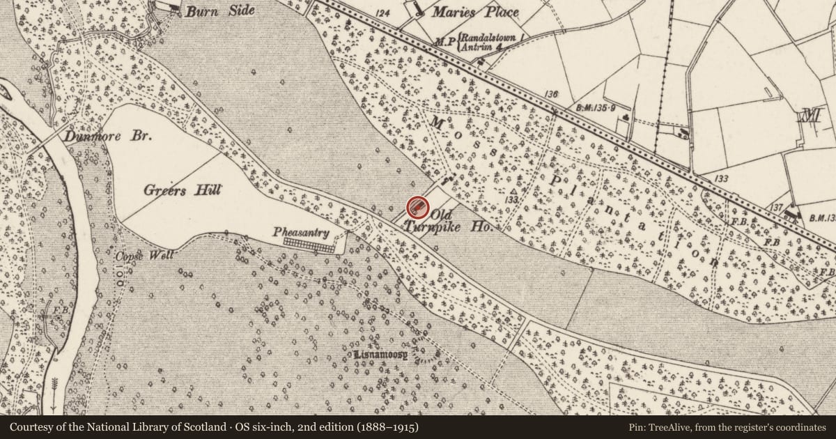 Ordnance Survey six-inch map, 2nd edition (1888–1915) covering the location of Turnpike House, Shane's Castle Park, Antrim and Newtownabbey, with a pin at the register's coordinates