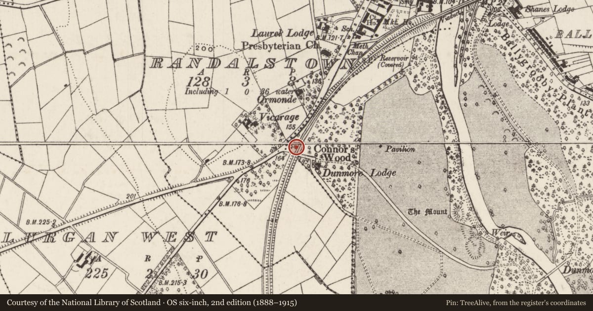 Ordnance Survey six-inch map, 2nd edition (1888–1915) covering the location of Bridge over railway cutting at Dunmore Park, Shane's Castle Park, Antrim and Newtownabbey, with a pin at the register's coordinates