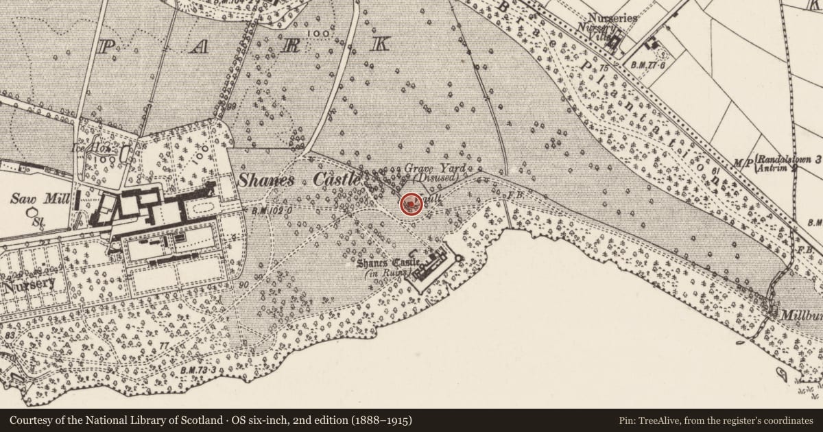 Ordnance Survey six-inch map, 2nd edition (1888–1915) covering the location of Statue of Harpist in burial ground, Shane's Castle Park, Antrim and Newtownabbey, with a pin at the register's coordinates