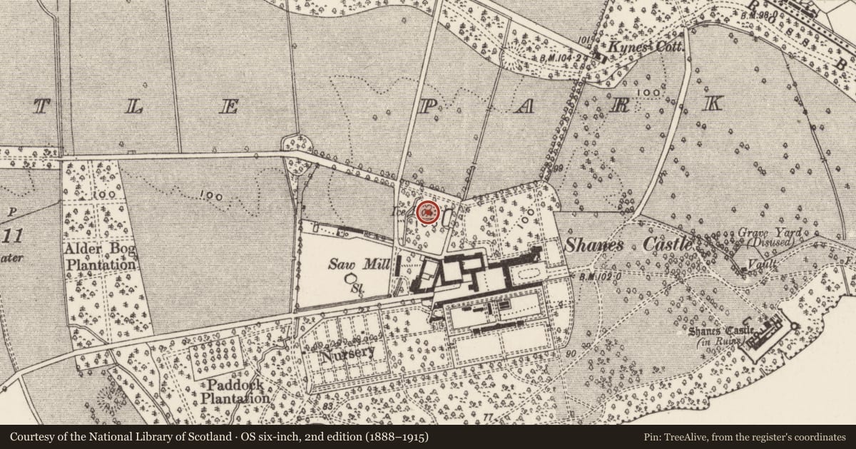 Ordnance Survey six-inch map, 2nd edition (1888–1915) covering the location of Ice House, Shane's Castle Park, Antrim and Newtownabbey, with a pin at the register's coordinates