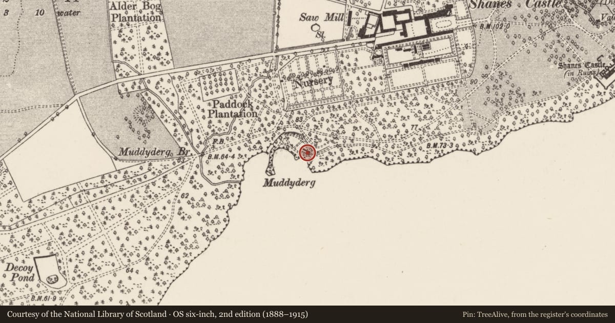 Ordnance Survey six-inch map, 2nd edition (1888–1915) covering the location of Arches at 'The Rockery', Shane's Castle Park, Antrim and Newtownabbey, with a pin at the register's coordinates