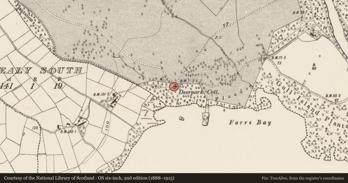 Ordnance Survey six-inch map, 2nd edition (1888–1915) covering the location of Deerpark Cottage, Shane's Castle Park, Antrim and Newtownabbey, with a pin at the register's coordinates