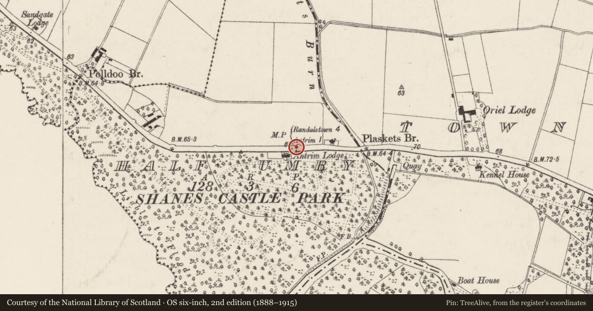Ordnance Survey six-inch map, 2nd edition (1888–1915) covering the location of Milestone, adjacent to 12 Castle Road, at a gateway to Shane's Castle Park, Half Umry, Antrim and Newtownabbey, with a pin at the register's coordinates