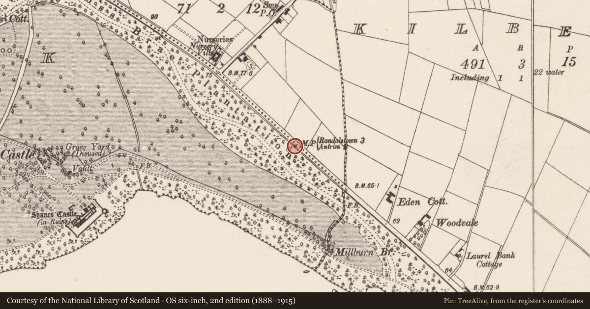 Ordnance Survey six-inch map, 2nd edition (1888–1915) covering the location of Milestone, Shane's Castle Park, Antrim and Newtownabbey, with a pin at the register's coordinates
