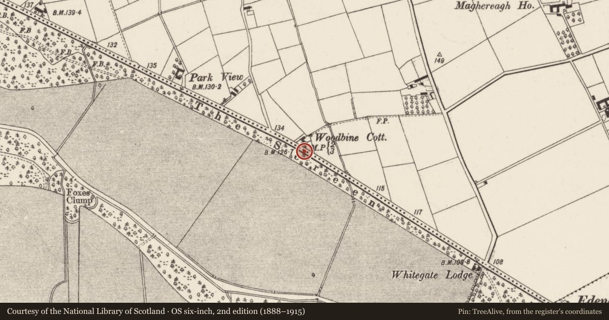 Ordnance Survey six-inch map, 2nd edition (1888–1915) covering the location of Milestone opposite 123 Castle Road, Shane's Castle Park, Antrim and Newtownabbey, with a pin at the register's coordinates