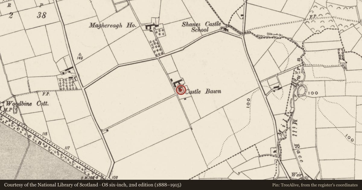 Ordnance Survey six-inch map, 2nd edition (1888–1915) covering the location of Castle Bawn, 17 Maghereagh Road, Randalstown, Co Antrim, Antrim and Newtownabbey, with a pin at the register's coordinates