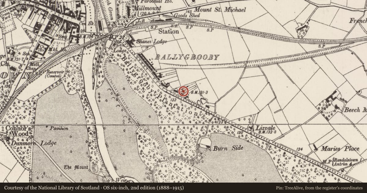 Ordnance Survey six-inch map, 2nd edition (1888–1915) covering the location of Laurel Cottage, Ballygrooby, Antrim and Newtownabbey, with a pin at the register's coordinates
