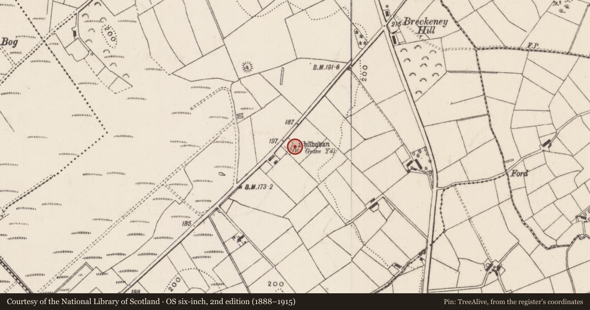 Ordnance Survey six-inch map, 2nd edition (1888–1915) covering the location of Shilvodan (Old Grave Yard), Drumkeeran, Antrim and Newtownabbey, with a pin at the register's coordinates