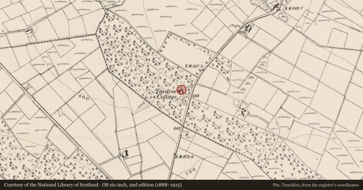 Ordnance Survey six-inch map, 2nd edition (1888–1915) covering the location of Tardree Cottage, Antrim and Newtownabbey, with a pin at the register's coordinates