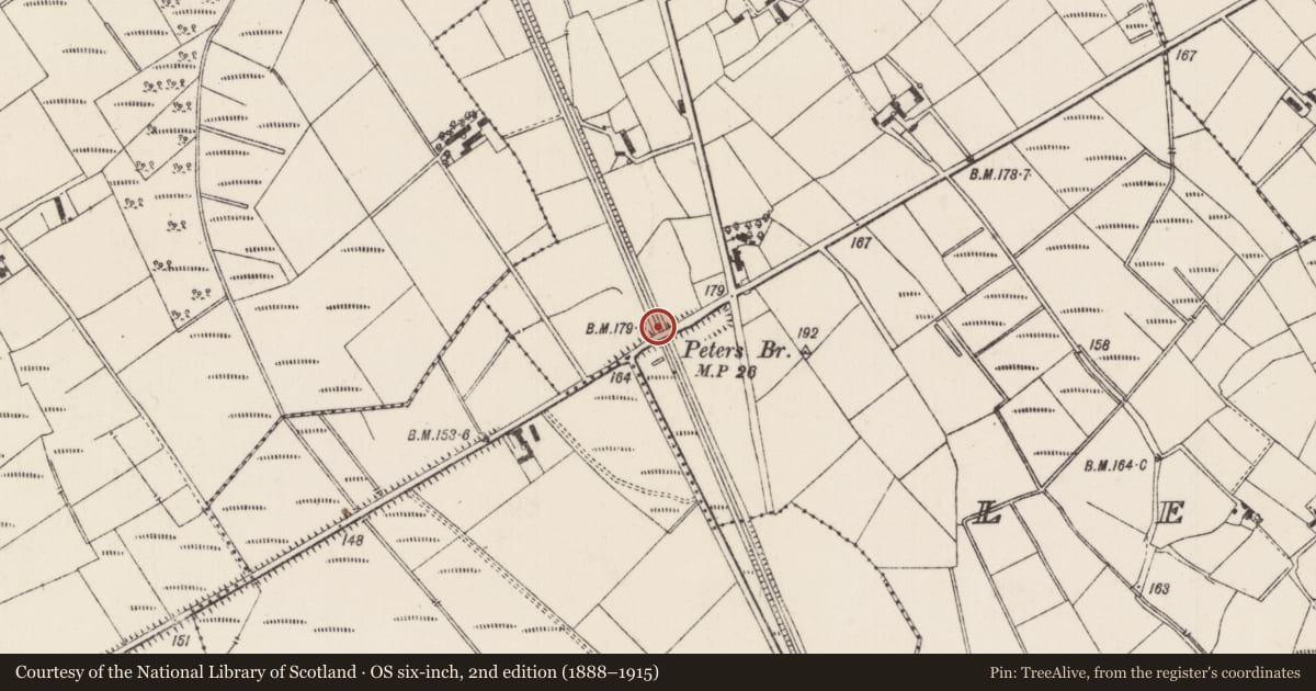 Ordnance Survey six-inch map, 2nd edition (1888–1915) covering the location of Peters Bridge, Lenagh, Antrim and Newtownabbey, with a pin at the register's coordinates