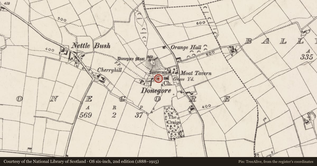 Ordnance Survey six-inch map, 2nd edition (1888–1915) covering the location of Bee Boles at Moat House, Donegore, Antrim and Newtownabbey, with a pin at the register's coordinates