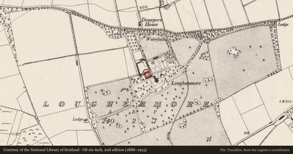 Ordnance Survey six-inch map, 2nd edition (1888–1915) covering the location of Outbuildings at Loughanmore, Loughermore, Antrim and Newtownabbey, with a pin at the register's coordinates