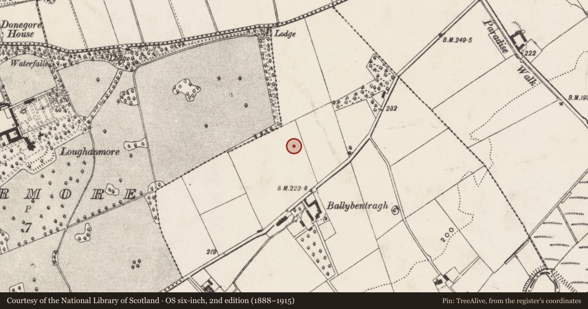 Ordnance Survey six-inch map, 2nd edition (1888–1915) covering the location of Garden Tower at Loughanmore, Loughermore, Antrim and Newtownabbey, with a pin at the register's coordinates