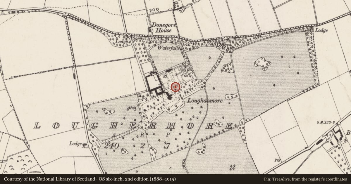 Ordnance Survey six-inch map, 2nd edition (1888–1915) covering the location of Ice House Tower at Loughanmore, Loughermore, Antrim and Newtownabbey, with a pin at the register's coordinates