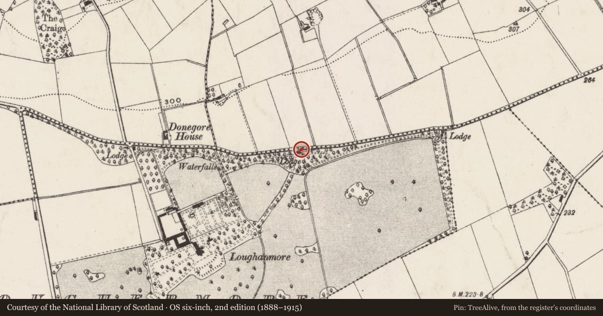 Ordnance Survey six-inch map, 2nd edition (1888–1915) covering the location of Main Gate Lodge and Gates to Loughanmore, Loughermore, Antrim and Newtownabbey, with a pin at the register's coordinates