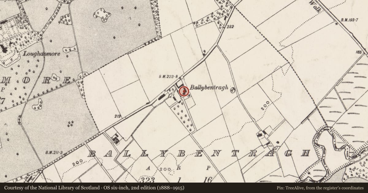 Ordnance Survey six-inch map, 2nd edition (1888–1915) covering the location of Summerdale, Ballybentragh, Antrim and Newtownabbey, with a pin at the register's coordinates