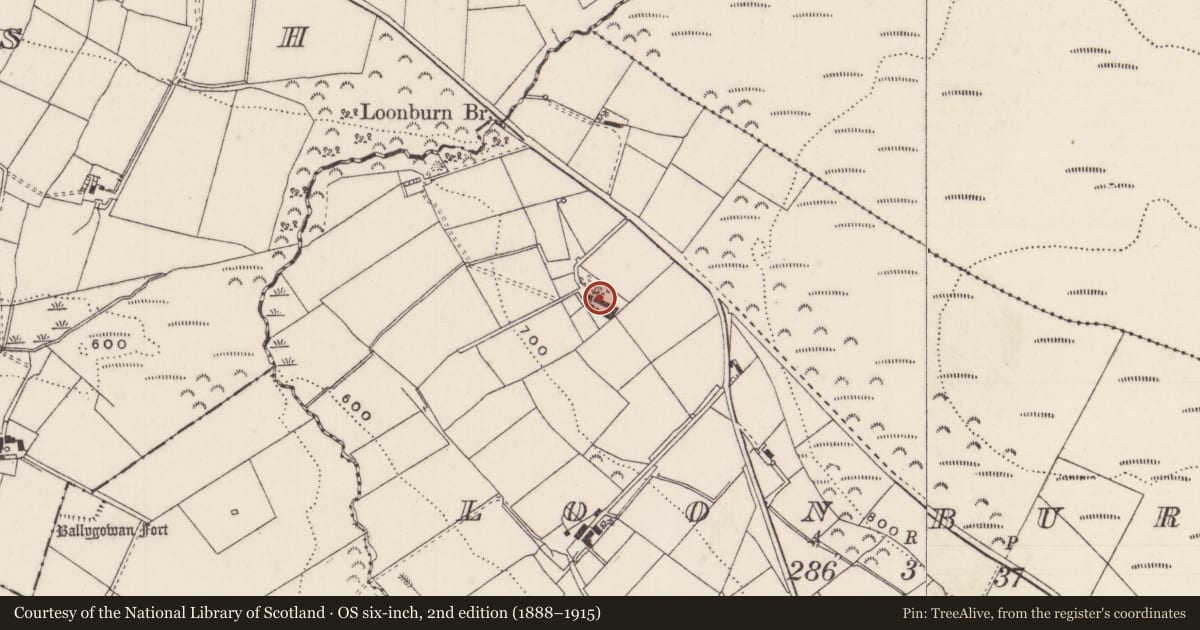 Ordnance Survey six-inch map, 2nd edition (1888–1915) covering the location of 96 Ballybracken Road, Loonburn, Antrim and Newtownabbey, with a pin at the register's coordinates