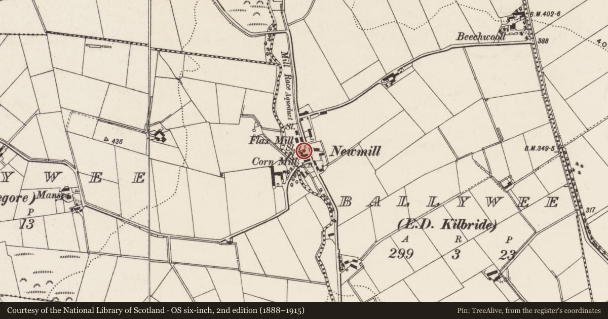 Ordnance Survey six-inch map, 2nd edition (1888–1915) covering the location of Ballywee Corn Mill, Antrim and Newtownabbey, with a pin at the register's coordinates
