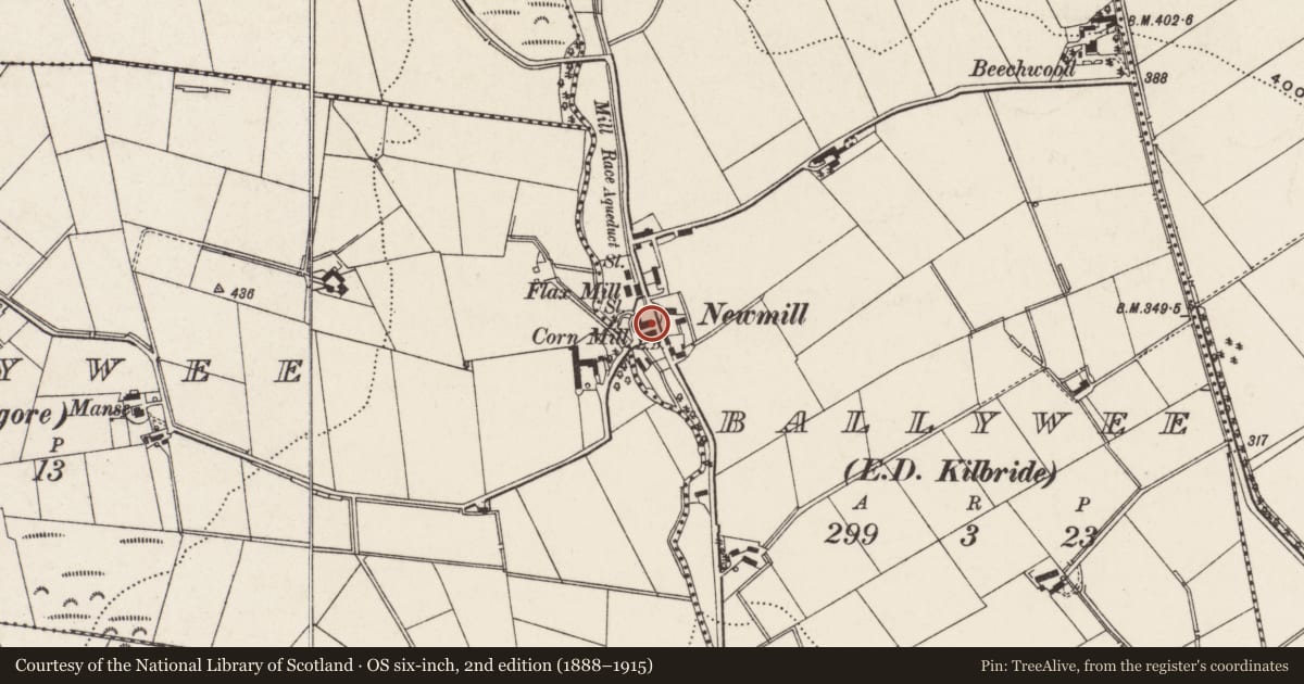 Ordnance Survey six-inch map, 2nd edition (1888–1915) covering the location of Former Mill House at Ballywee Corn Mill, Antrim and Newtownabbey, with a pin at the register's coordinates