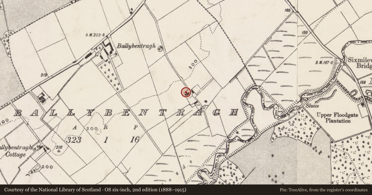 Ordnance Survey six-inch map, 2nd edition (1888–1915) covering the location of Bentra, Ballybentragh, Antrim and Newtownabbey, with a pin at the register's coordinates