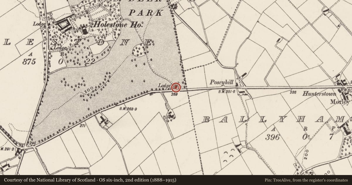 Ordnance Survey six-inch map, 2nd edition (1888–1915) covering the location of Original Gateway to Holestone House, Antrim and Newtownabbey, with a pin at the register's coordinates