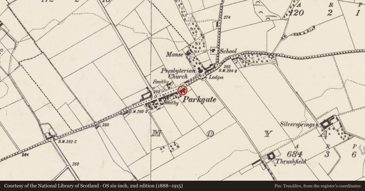 Ordnance Survey six-inch map, 2nd edition (1888–1915) covering the location of 29-31 Main Street, Moyadam, Antrim and Newtownabbey, with a pin at the register's coordinates
