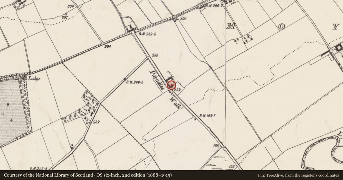 Ordnance Survey six-inch map, 2nd edition (1888–1915) covering the location of Moyadam, Antrim and Newtownabbey, with a pin at the register's coordinates