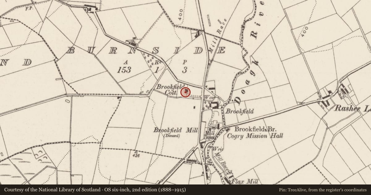 Ordnance Survey six-inch map, 2nd edition (1888–1915) covering the location of Brookfield Cottage, Burnside, Antrim and Newtownabbey, with a pin at the register's coordinates