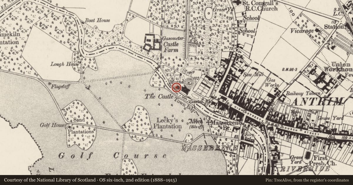 Ordnance Survey six-inch map, 2nd edition (1888–1915) covering the location of Remains of Antrim Castle, Town Parks, Antrim and Newtownabbey, with a pin at the register's coordinates