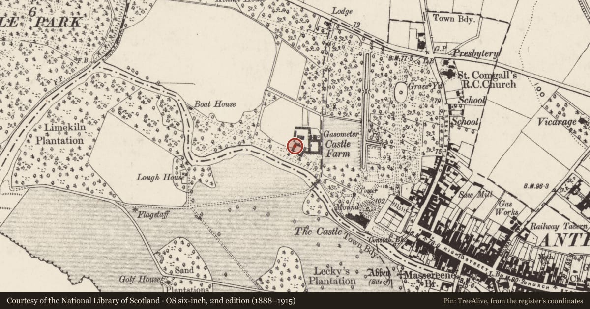 Ordnance Survey six-inch map, 2nd edition (1888–1915) covering the location of Clotworthy House, Town Parks, Antrim and Newtownabbey, with a pin at the register's coordinates