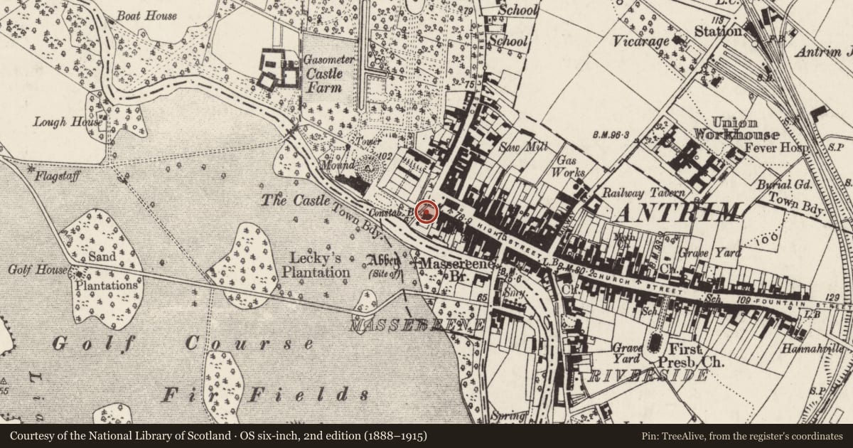 Ordnance Survey six-inch map, 2nd edition (1888–1915) covering the location of 22 Market Square, Town Parks, Antrim and Newtownabbey, with a pin at the register's coordinates