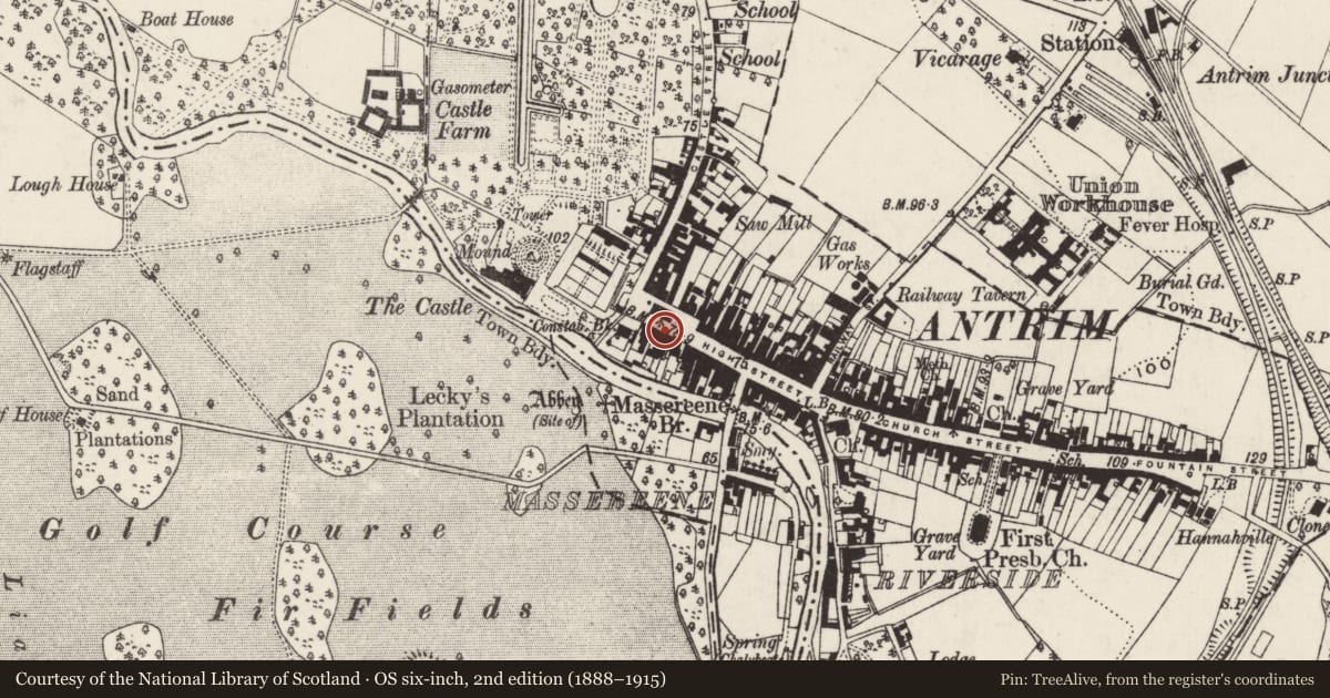 Ordnance Survey six-inch map, 2nd edition (1888–1915) covering the location of 13-15 Market Square, Town Parks, Antrim and Newtownabbey, with a pin at the register's coordinates