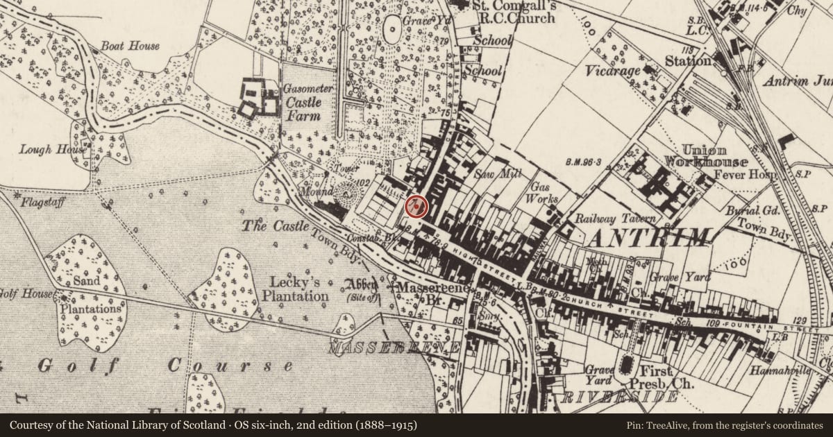 Ordnance Survey six-inch map, 2nd edition (1888–1915) covering the location of 2 & 4 Castle Street, Town Parks, Antrim and Newtownabbey, with a pin at the register's coordinates