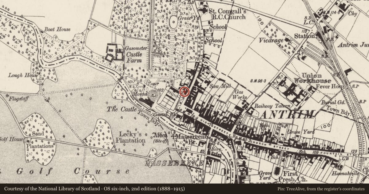 Ordnance Survey six-inch map, 2nd edition (1888–1915) covering the location of 1 & 3 Castle Street, Town Parks, Antrim and Newtownabbey, with a pin at the register's coordinates