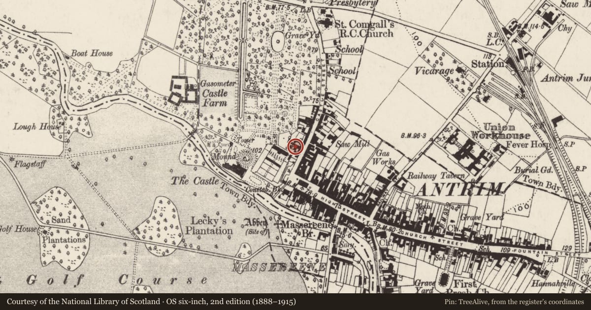 Ordnance Survey six-inch map, 2nd edition (1888–1915) covering the location of 5-9 Castle Street, Town Parks, Antrim and Newtownabbey, with a pin at the register's coordinates