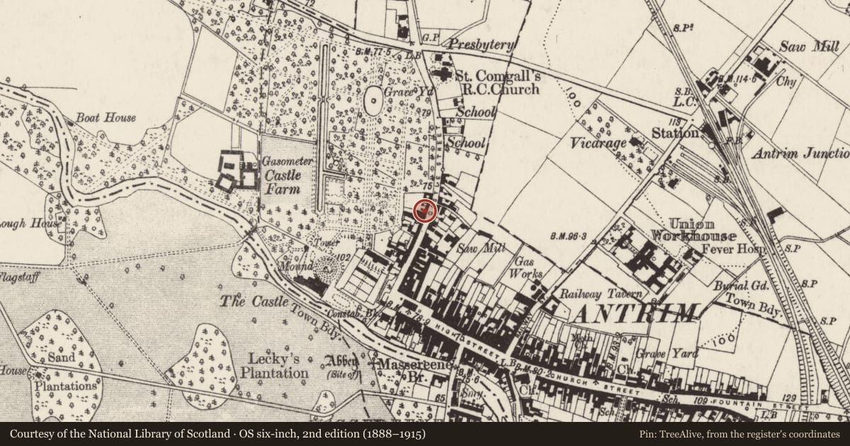 Ordnance Survey six-inch map, 2nd edition (1888–1915) covering the location of 37 Castle Street, Town Parks, Antrim and Newtownabbey, with a pin at the register's coordinates