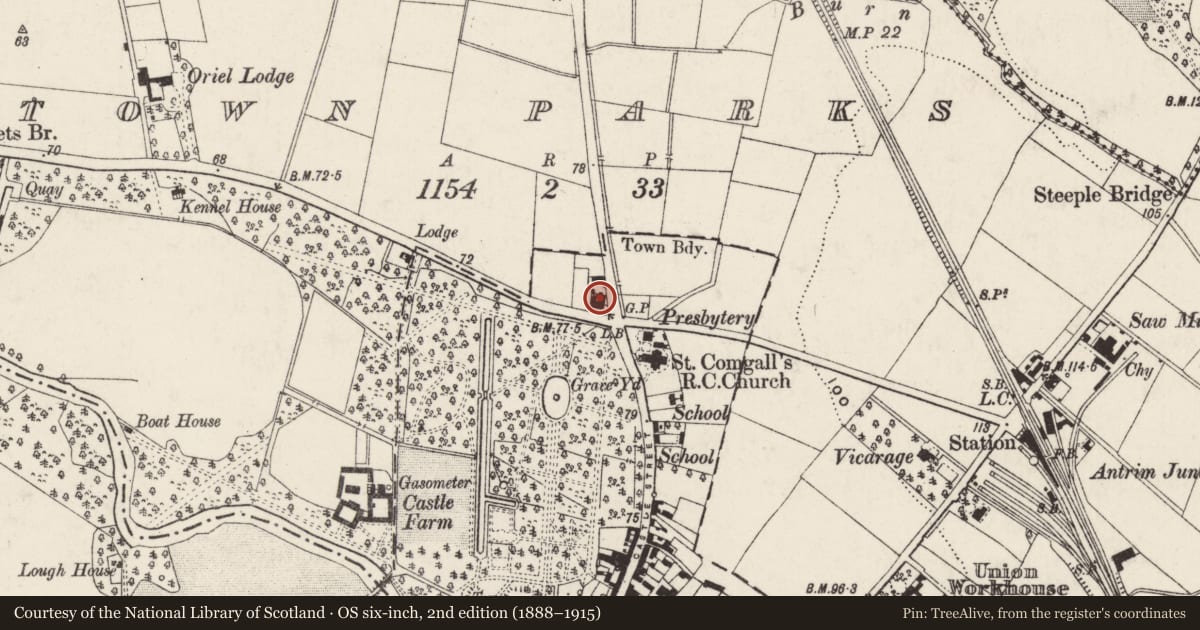Ordnance Survey six-inch map, 2nd edition (1888–1915) covering the location of Wilderness Lodge, Town Parks, Antrim and Newtownabbey, with a pin at the register's coordinates