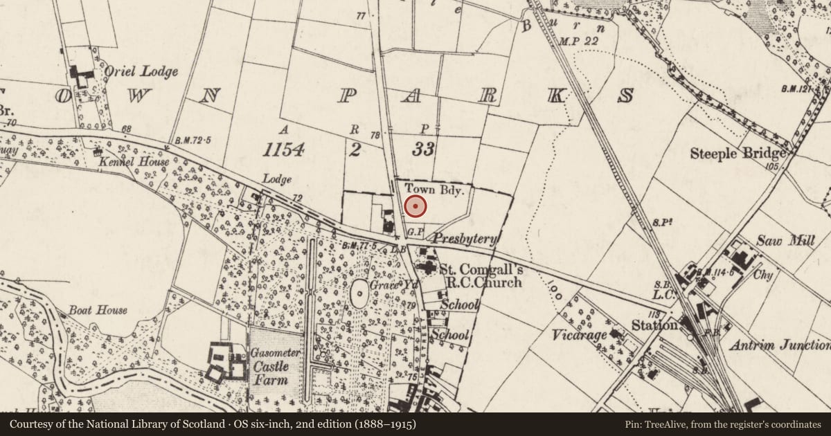 Ordnance Survey six-inch map, 2nd edition (1888–1915) covering the location of St Comgall's Primary School, Town Parks, Antrim and Newtownabbey, with a pin at the register's coordinates