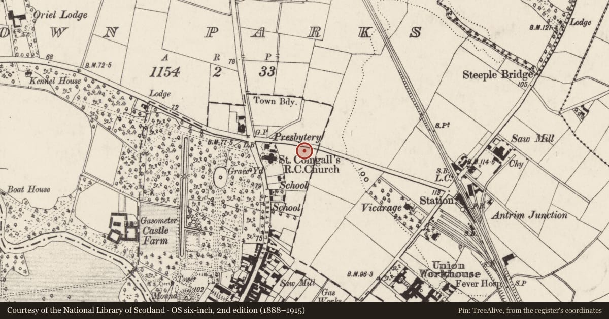 Ordnance Survey six-inch map, 2nd edition (1888–1915) covering the location of 15 and 17 Oriel Road, Town Parks, Antrim and Newtownabbey, with a pin at the register's coordinates