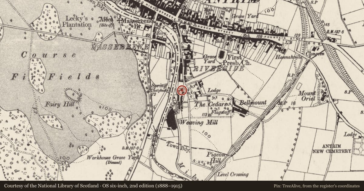Ordnance Survey six-inch map, 2nd edition (1888–1915) covering the location of Edward VII post box, Town Parks, Antrim and Newtownabbey, with a pin at the register's coordinates